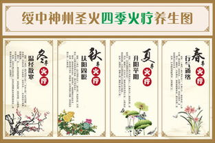 中医保健四季养生指南 顺应天时，养出健康人生